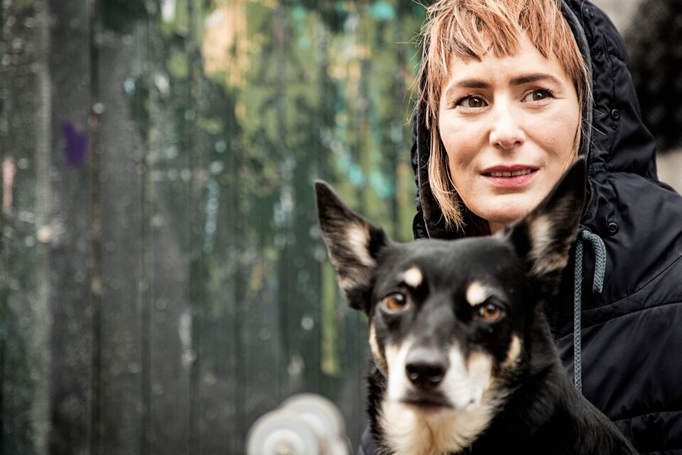 Konstnären och illustratören Stina Johnson började måla landskap efter att ha skaffat hund. Foto: Jens Nordström