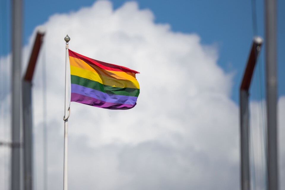 En regnbågsfärgad flagga.