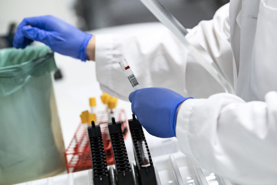 Blodprover görs klara för att analyseras avseende covid-19 antikroppar i ett av laboratorierna på Klinisk mikrobiologi i Lund. Arkivbild.