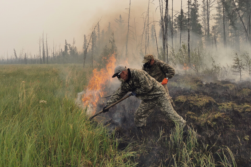 Frivilliga försöker släcka en brand i skogarna i Jakutien, eller Sacha-republiken, i nordöstra Sibirien, i juli 2021.