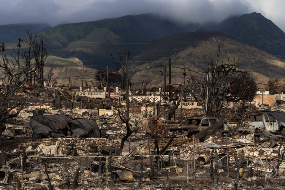 I staden Lahaina beräknas runt 2|200 byggnader ha förstörts i bränderna.