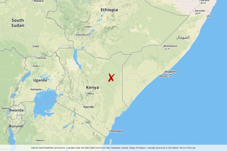Busattacken ägde rum i närheten av orten Wajir i nordöstra Kenya.