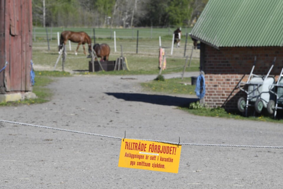 Det var på söndagen som Karlshamns ridklubb stängdes på grund av misstanke om en sjuk häst.