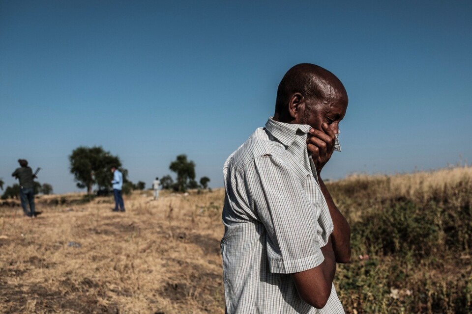 En man står vid ett dike i utkanten av Mai-Kadra i norra Etiopien, där döda kroppar ligger i väntan på att begravas.