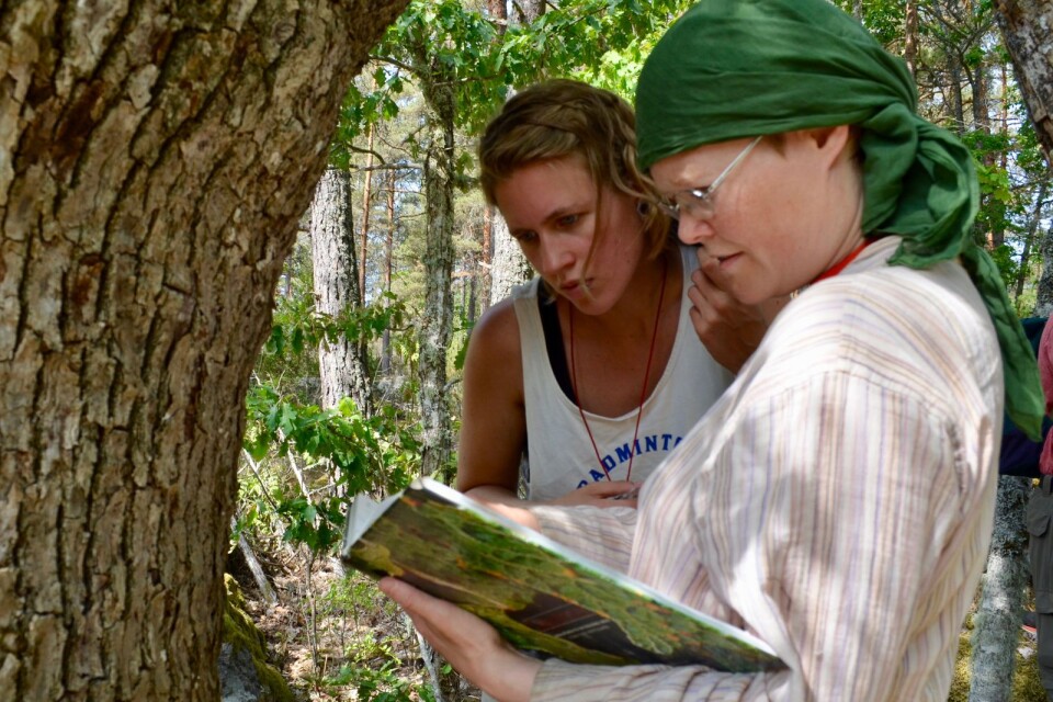 I boken med signalarter hittar Elin Götmark och Kerstin Månsson från Skydda skogen information om den vitskivlav de hittat på en ask.
