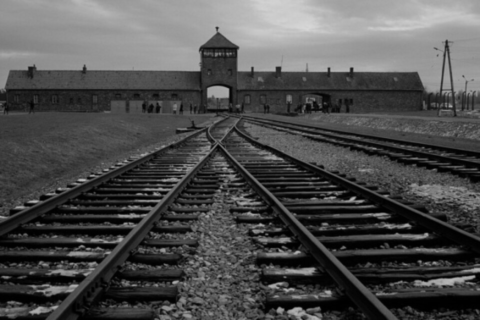 Auschwitz-Birkenau var ett kombinerat koncentrations- och förinteläger i Polen där nazisterna mördade cirka 1,3 människor, var av vilka 1,1 miljoner människor var judar.