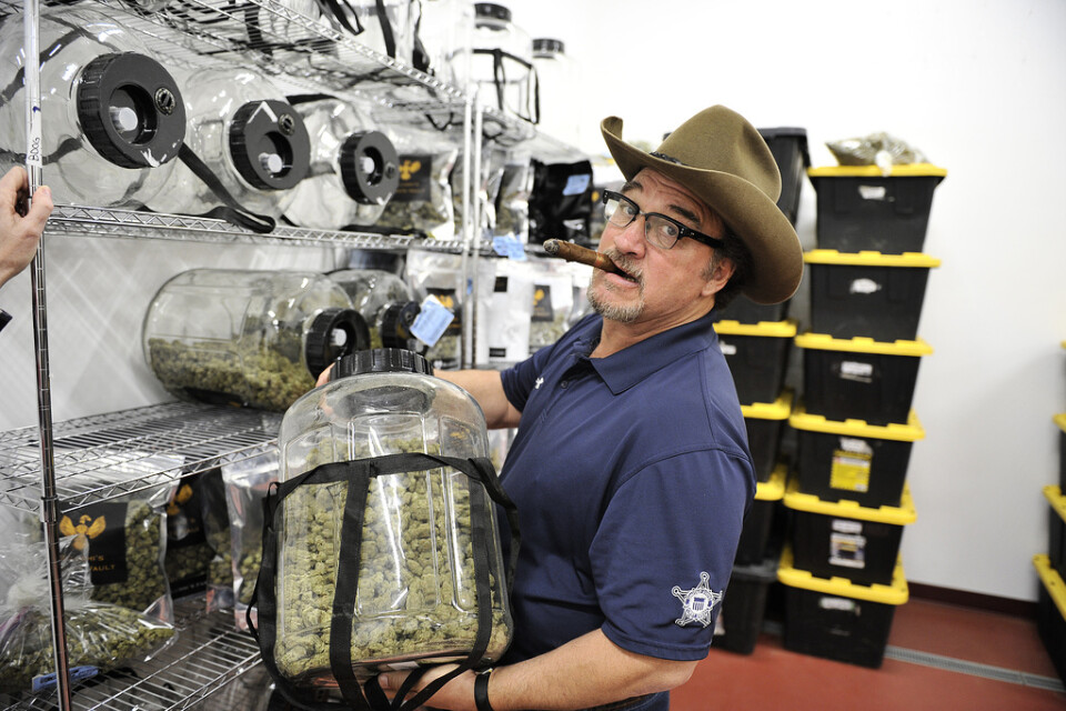 Jim Belushi på sin cannabisodling. Arkivbild.