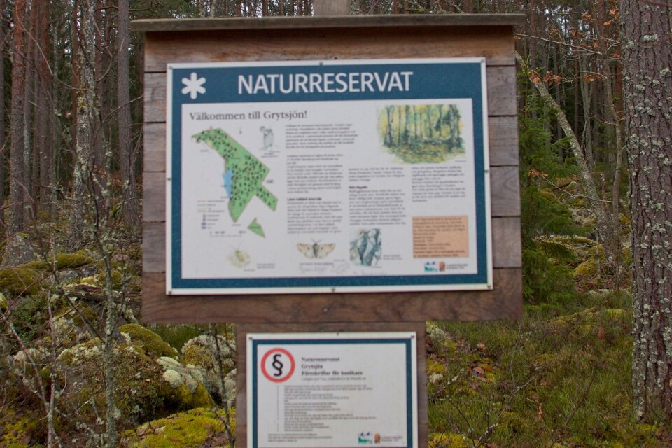 Grytsjön naturreservat, Nybro. Sverige har underrapporterat den samlade volymen av skyddad skog.