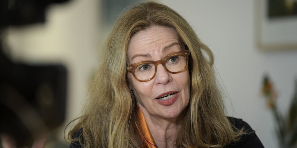 Swedbanks tidigare vd och koncernchef Birgitte Bonnesen har åtalats misstänkt för grovt svindleri. Arkivbild.