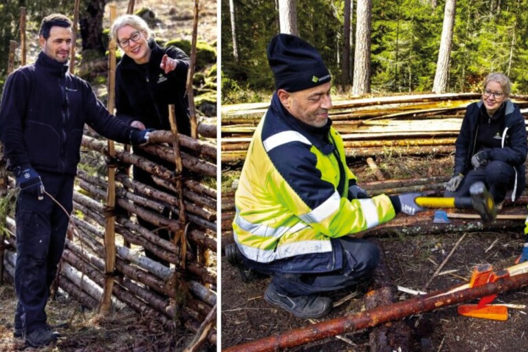 Värdefull naturvård i Stensjö by tack vare naturnära jobb