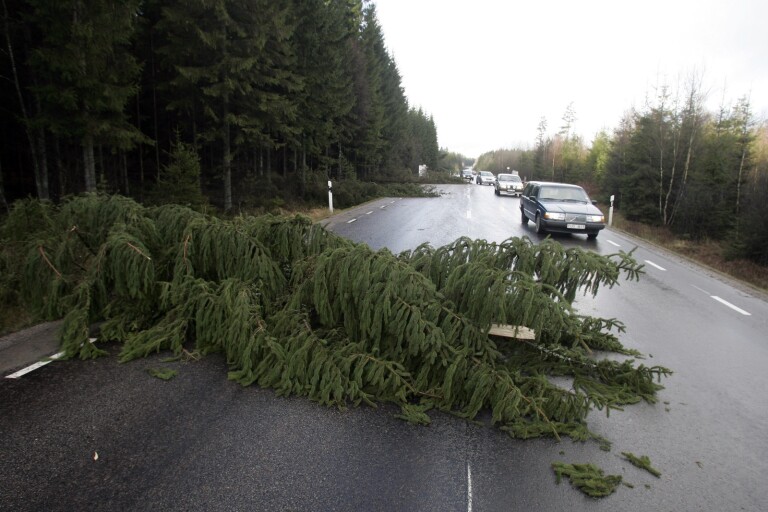 Fallna träd på väg 25 skapar problem i trafiken