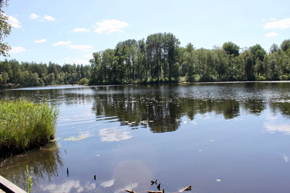 Kommunen uppmanar att inte vattna med ytvatten från insjöar.