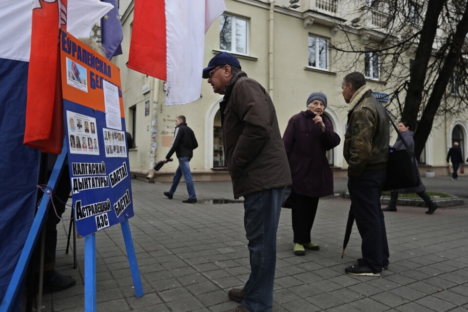 516 kandidater ställer upp i årets parlamentsval i Vitryssland, enligt nyhetsbyrån AP – de allra flesta är regimtrogna.