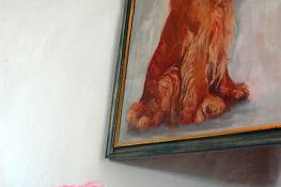 Stålhunden, gjord av Kjell-Ove Nilsson, har titeln Rondellpudel, blickar upp mot en målning av Bengt Savhed.