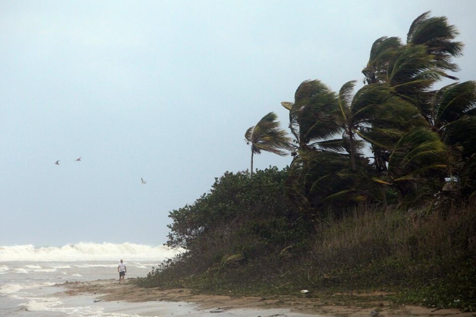 Den tropiska stormen Erika har drabbat Puerto Rico och ögruppen Jungfruöarna med skyfall och kraftiga vindar och tros röra sig mot Dominikanska republiken, Haiti och eventuellt även Florida, enligt den amerikanska vädertjänsten National Hurricane Center