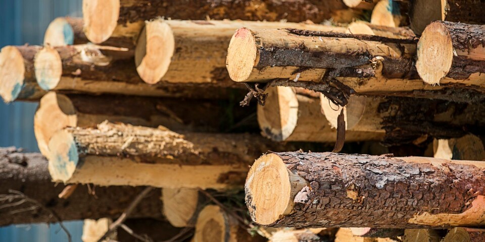 Tuffa tider för Bergs Timber när trämarknaden viker