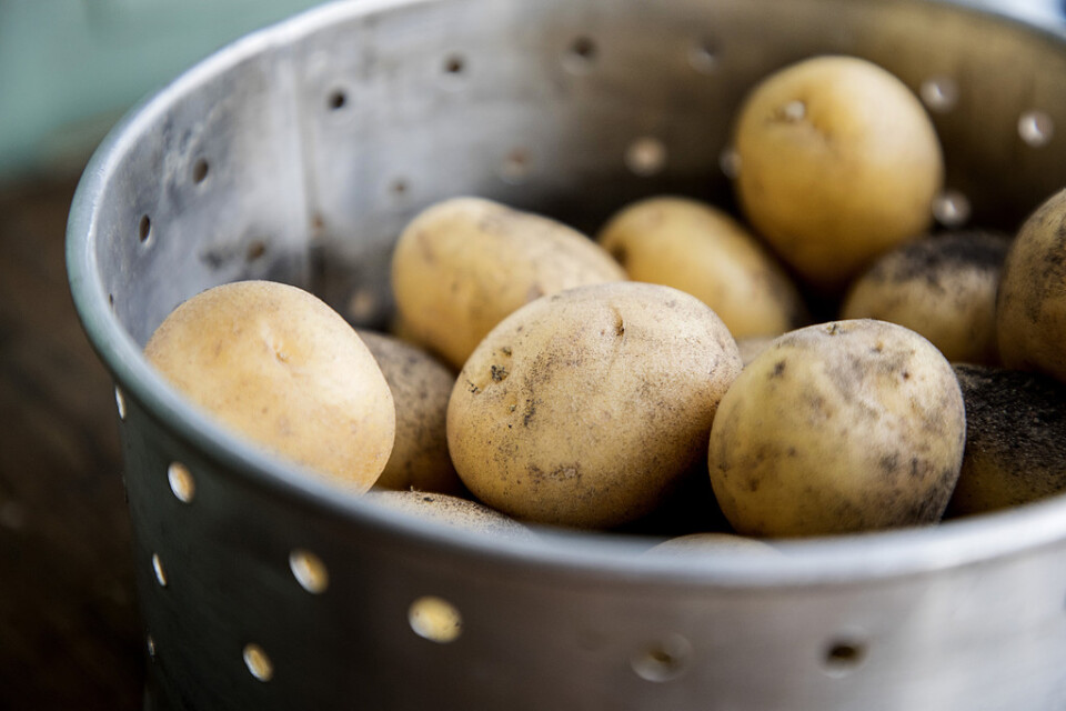 Priset på potatis som köps i lösvikt har stigit med 27 procent mellan maj 2018 och maj i år. Arkivbild.