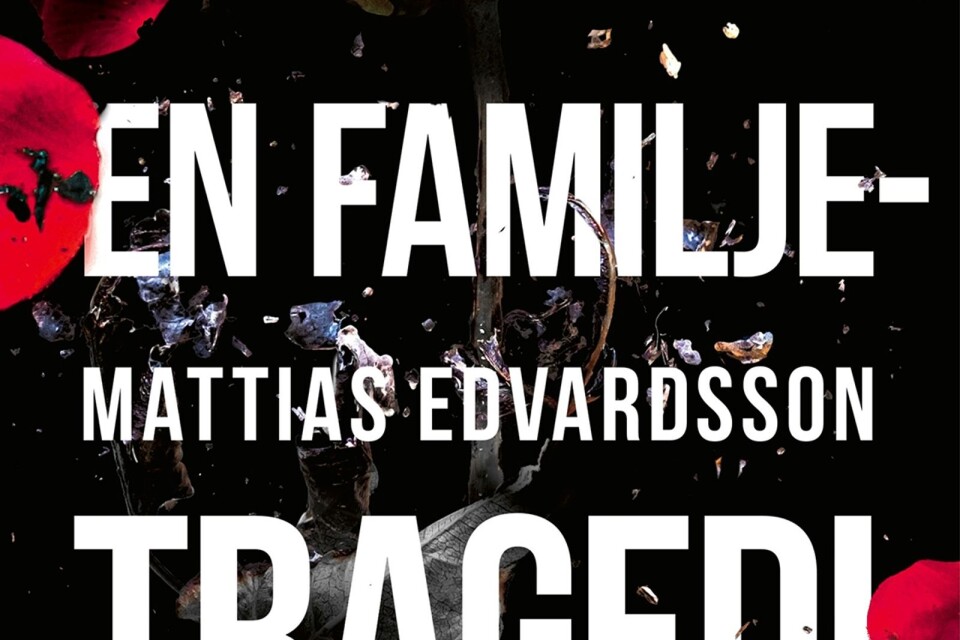För mig är en ny spänningsroman av Mattias Edvardsson mumma! I ”En familjetragedi” hittar vi tre unga människor. Två mord. Men finns det mer än en sanning?