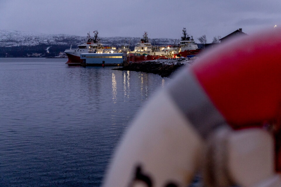 Med snötäckta berg som kuliss ligger ryska fartyg förtöjda i Kirkenes hamn.