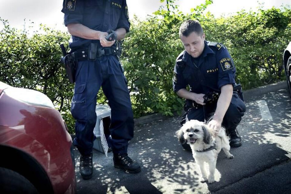 Hunden var glad över att räddas ut från den varma bilen av polismannen Tobias Nero.