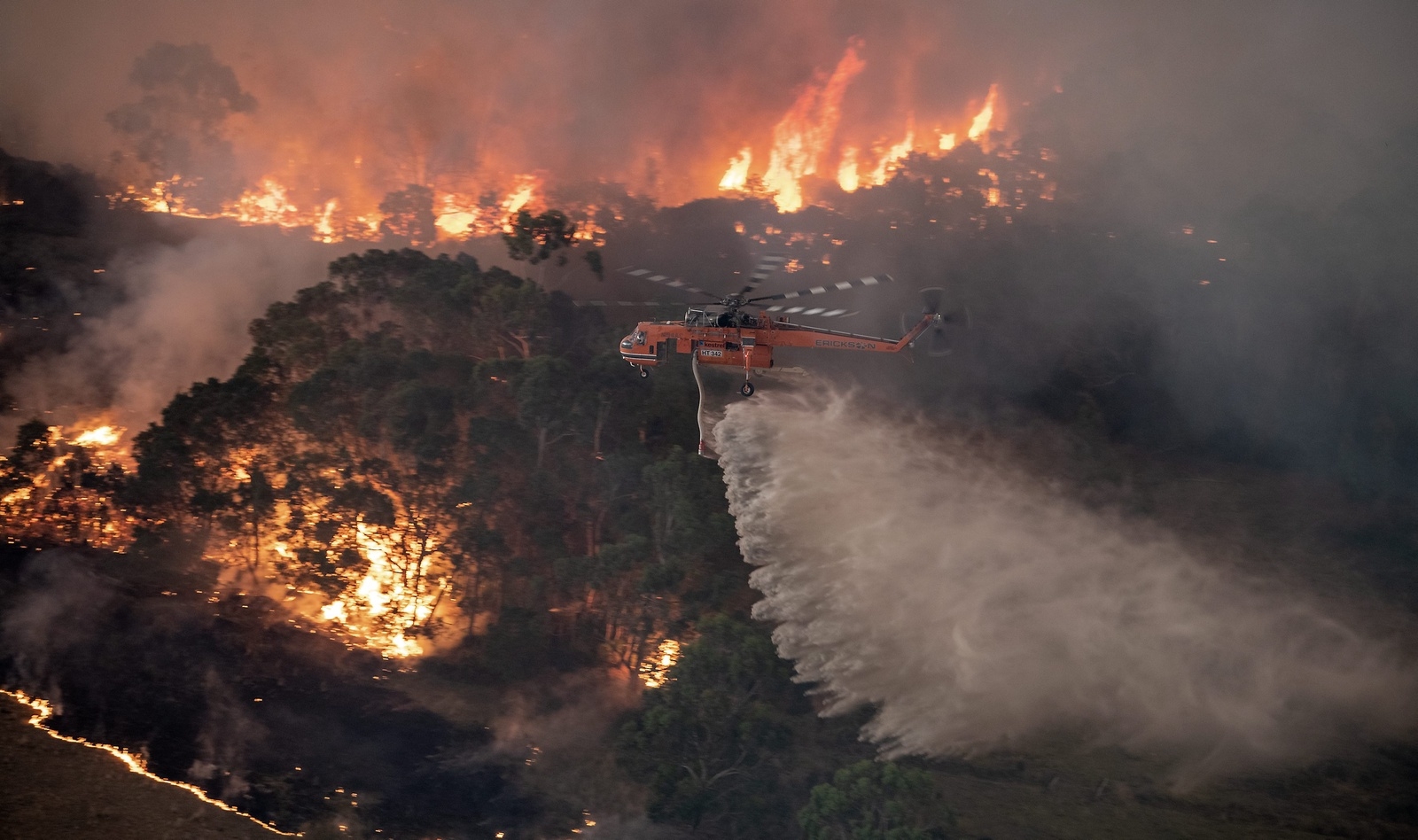 Elden sveper över stora delar av Australien. Både människor och djur har omkommit. Foto: TT