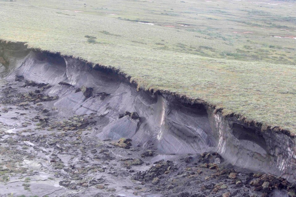 En femtedel av landytan på norra halvklotet täcks av permafrost främst i Sibirien och Kanada, uppger skribenten.