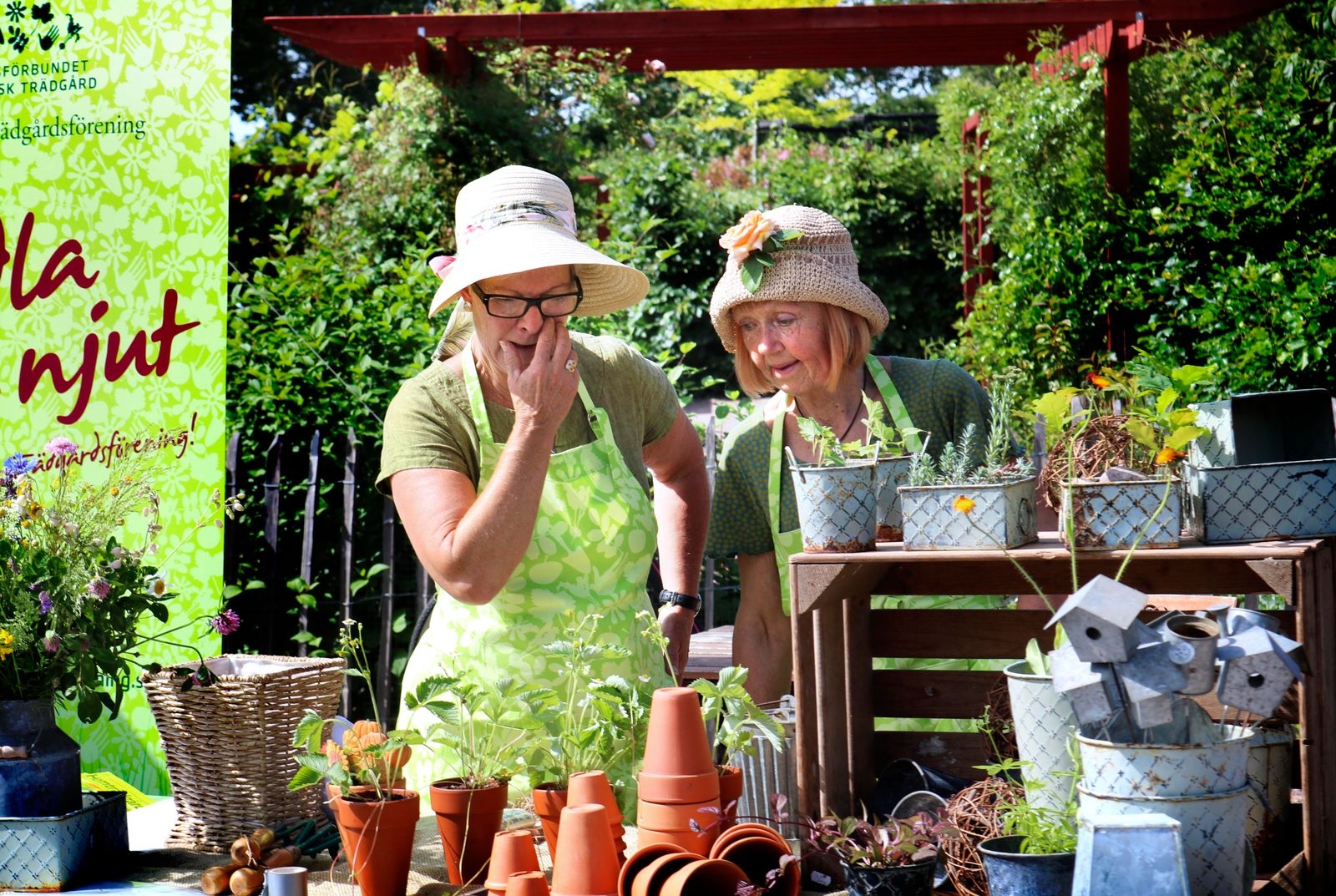 Lena Ovesson och Liselotte Hellström är stolta över utbudet på trädgårdsdagen. ”Här är bara växter. Inget tjafs, inget krimskrams”, säger Liselotte Hellström