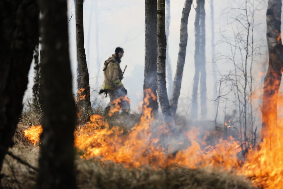 Det råder stor risk för gräsbränder i hela eller delar av fem län samt stor risk för skogsbrand i två andra områden, enligt SMHI. Arkivbild.