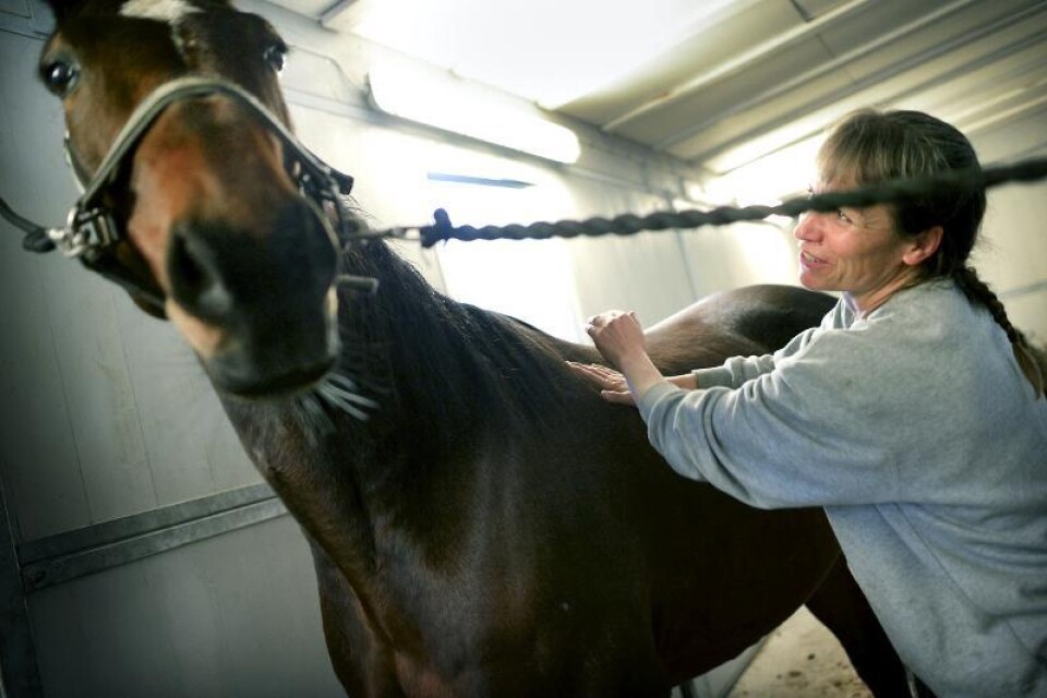 Jeanette Thelander konstaterade att hennes häst mådde bra av friskvårdsbehandlingen.