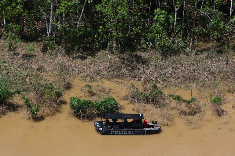 Våld, tortyr och hot följer avskogningen i Amazonas, som är en av de farligaste platserna i världen för miljöaktivister. Arkivbild.