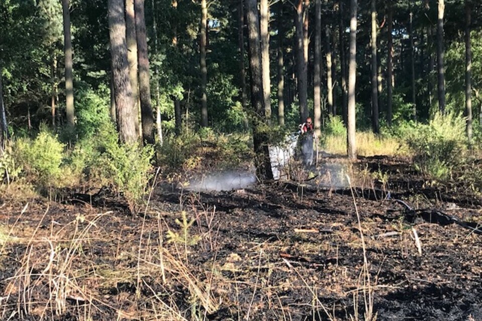 Det brann i tallskogen bakom återvinningsstationen i Åhus på måndagskvällen. På tisdagsmorgonen larmades räddningstjänsten till området igen.