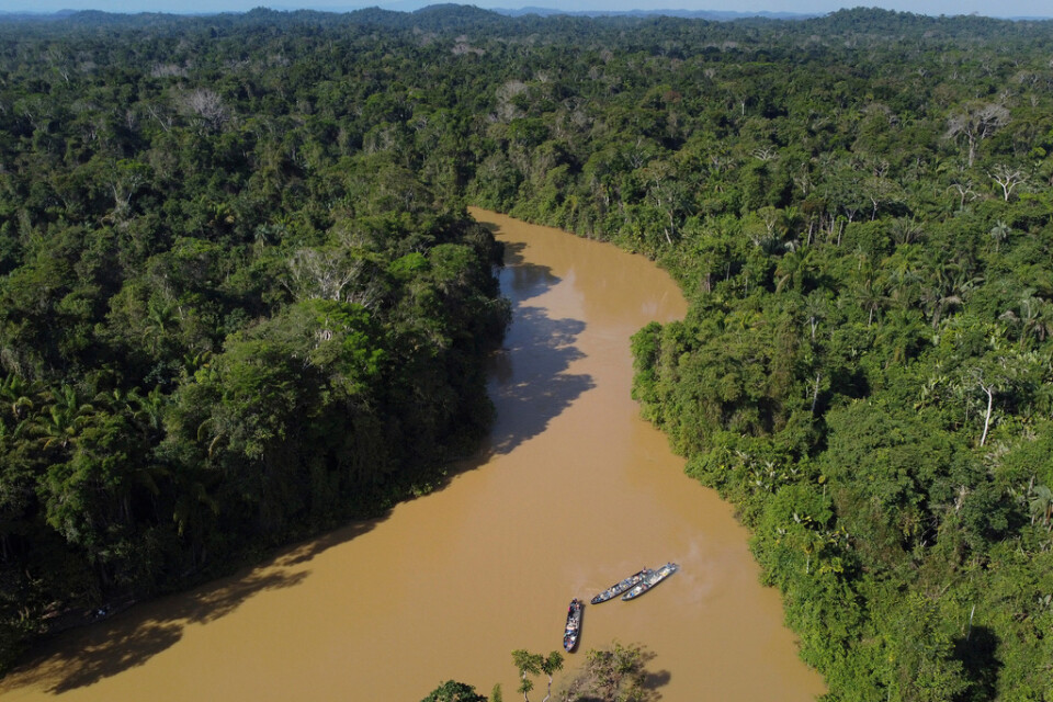 Illegala gruvbåtar fotograferade i Uraricoera, en biflod till Rio Branco, som i sin tur sedan ansluter till den jättelika Amazonfloden, i den brasilianska delstaten Roraima.