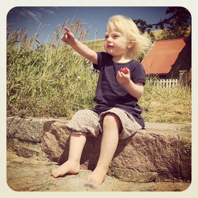 Esther Wallenius  är på besök på Ven och sitter och filosoferar med en jordgubbe. Mamma Kajsa Wallenius har fotograferat.