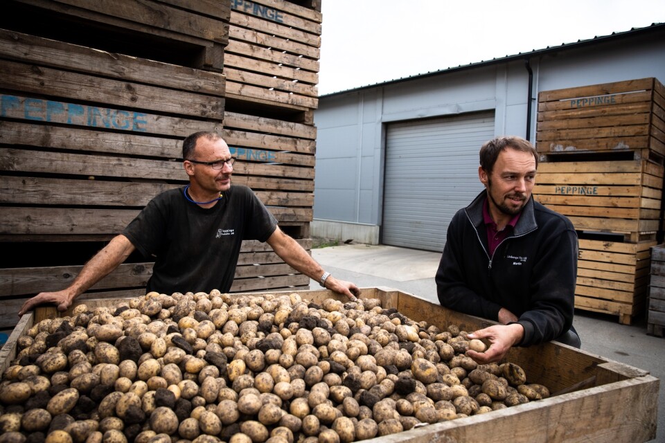 Richard Larsson, odlingsansvarig på Peppinge Produkter, och Martin Andersson på Löderups Växt diskuterar när det är dags att fortsätta upptagingen av potatis.