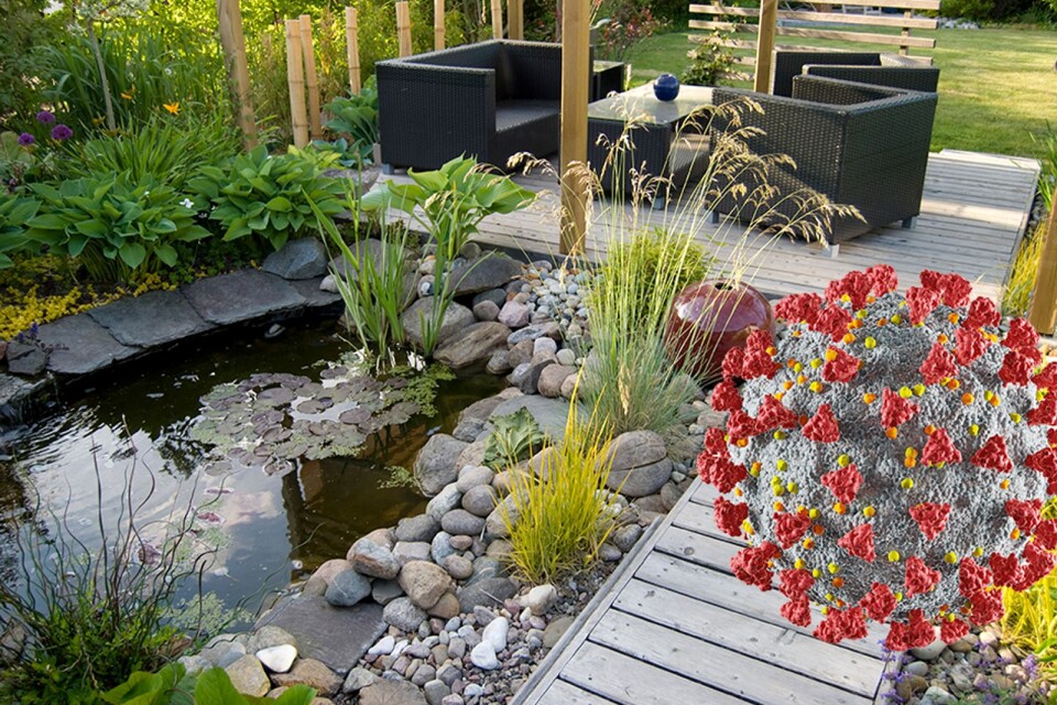 A beautiful small pond and a patio with a sitting area.