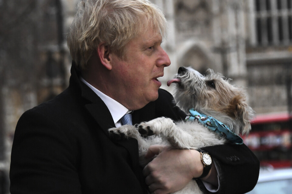Den brittiske premiärminister Boris Johnson med hunden Dilyn. Arkivbild