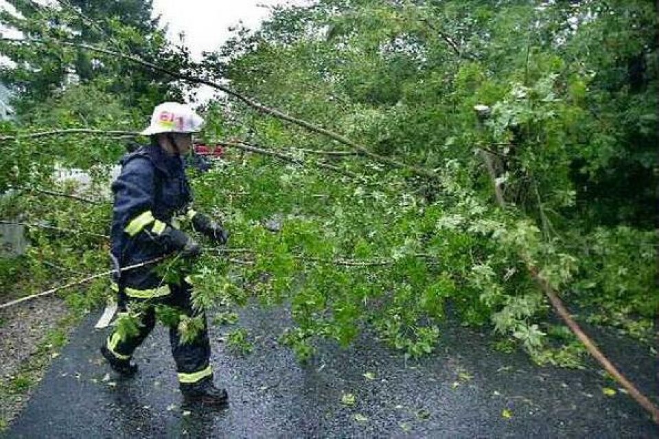 Trädröjning. Ett träd dukade under för tyngden av vattenfyllt lövverk och föll över Öllsjövägen. Räddningstjänsten fick rycka ut och göra pinnved av väghindret.