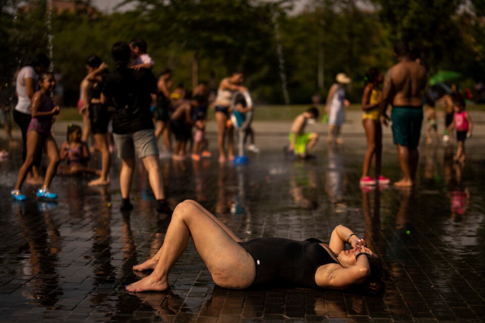 Människor svalkar sig i en park i Madrid under en värmevåg i juli förra året. Arkivbild.