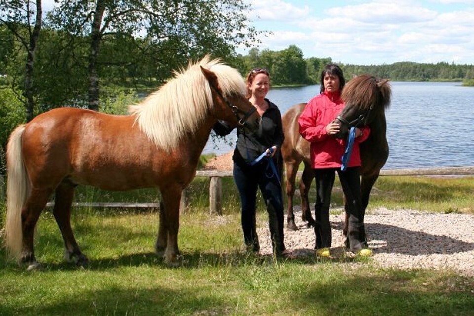 Karolina Valdas och Elisabeth Nilsson med hästarna Oddur och Piltur har tagit sig från Billesholm och tog igår rast vid Tannsjön. Foto: HENRIK NORDELL