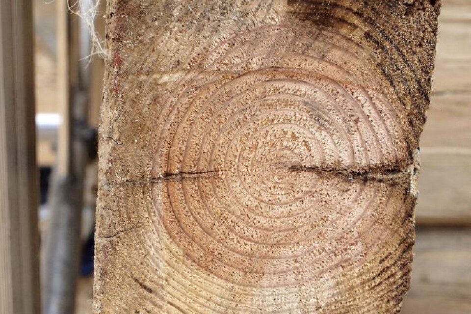 Träet är minst 160 år gammalt. Och som synes i mycket bra skick.