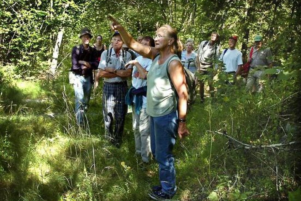 Solvig Oredsson, ordförande i Oppmanna-Vånga hembygdsförening, ger guidad tur i Döda byn.
