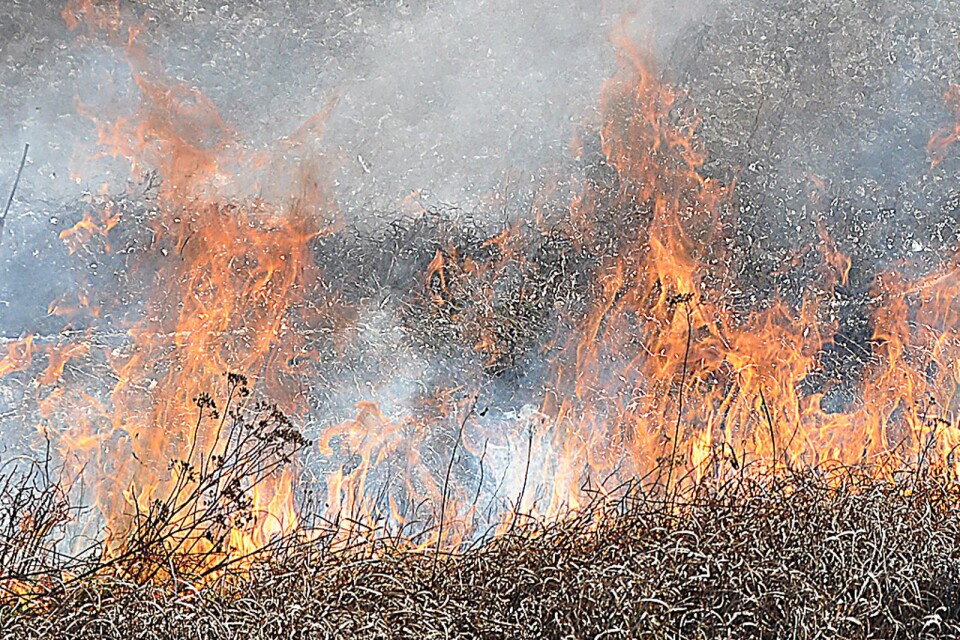 Länsstyrelsen och länets kommuner att beslutat att upphäva eldningsförbudet.