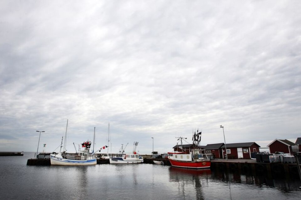 Låt Skåre bli den naturliga hamnen för allt som har med fiske att göra, föreslår Tom Magnusson (SÖS).