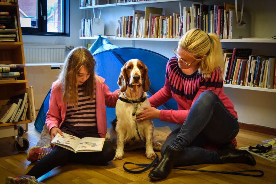 Maja Broberg, hunden Harry och speciallärare Charlotta Linde tränar högläsning på Skurups bibliotek.