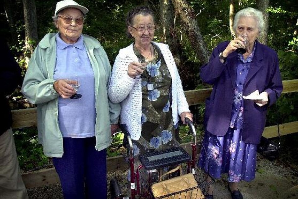 Sonja Olsson, Helga Nilsson och Elsa Svensson njuter av cidern vid bäcken.
