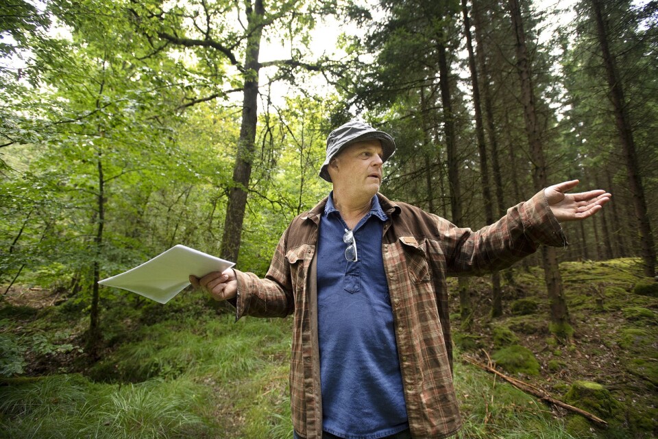 Den artrika bokskogen ger inte längre någon inkomst. När Karl-Johan Jansson avverkar den artfattiga granskogen intill får han däremot en premie för naturvården.
