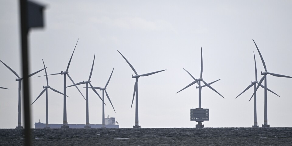 ”Totalt vansinne att investera i fler vindkraftsparker”