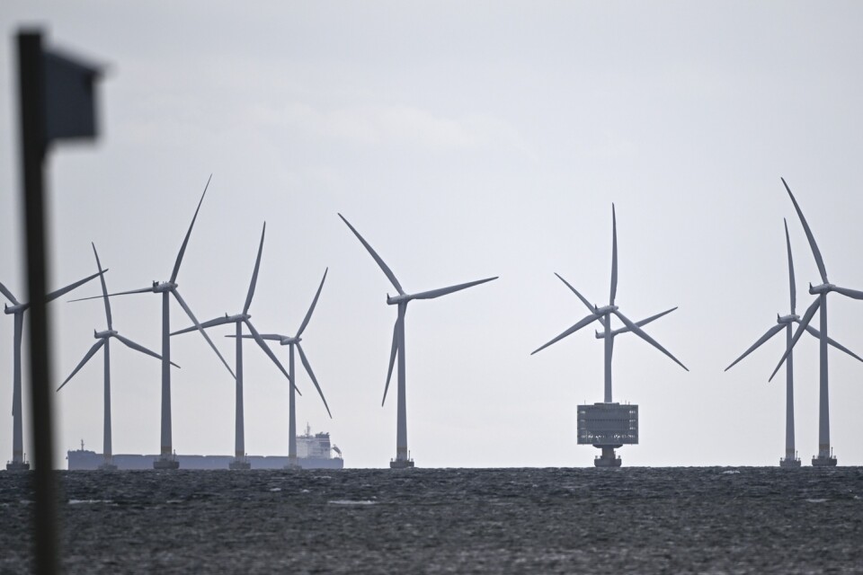 Ett fartyg passerar i farleden bakom de havsbaserade vindkraftverken i Lillgrund vindkraftpark utanför Bunkeflostrand söder om Öresundsbron.
