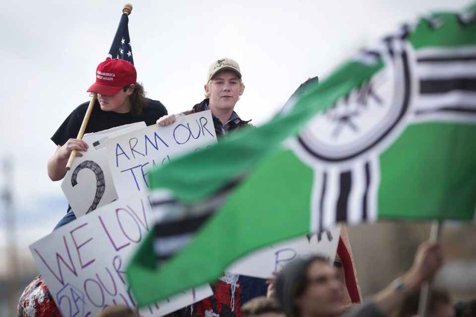 Två ungdomar i USA manifesterar med Trump-keps och en flagga som förknippas med extremhögern. För det mesta rör sig dock denna rörelse på nätet, och inte i demonstrationståg.