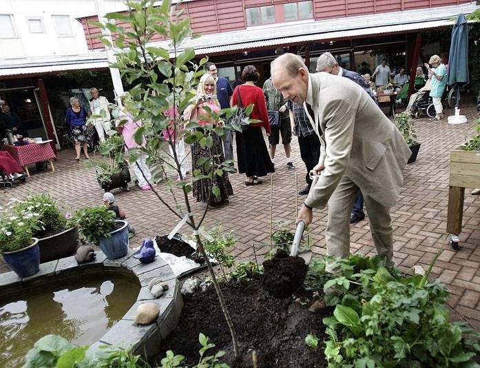 Kommunalrådet Ulrik Nilsson satte trädet på plats.